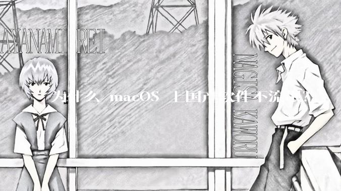 为什么 macOS 上国产软件不流氓？