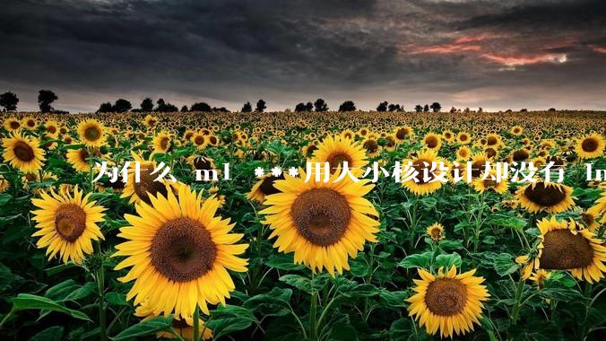 为什么 m1 ***用大小核设计却没有 intel 的问题？