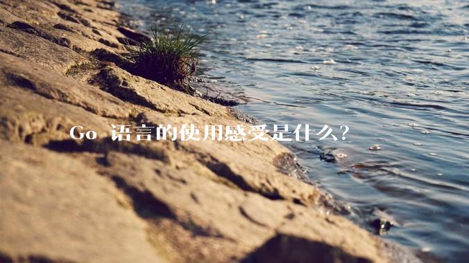 Go 语言的使用感受是什么？