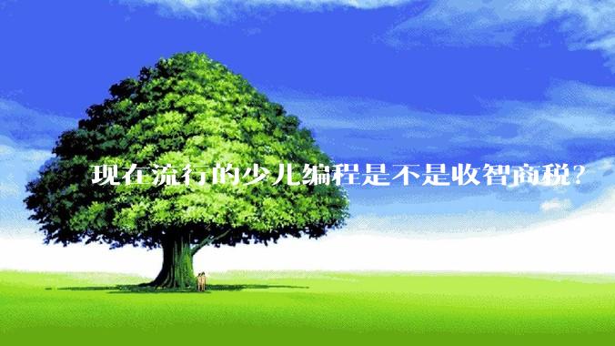 现在流行的少儿编程是不是收智商税？