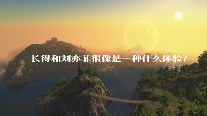 长得和刘亦菲很像是一种什么体验？