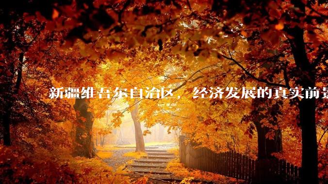 新疆维吾尔自治区，经济发展的真实前景如何？