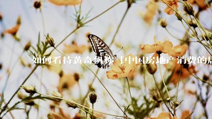 如何看待黄奇帆称「中国房地产消费的居民负债占家庭收入比重达 137.9% ，需调整抑制消费政策」？
