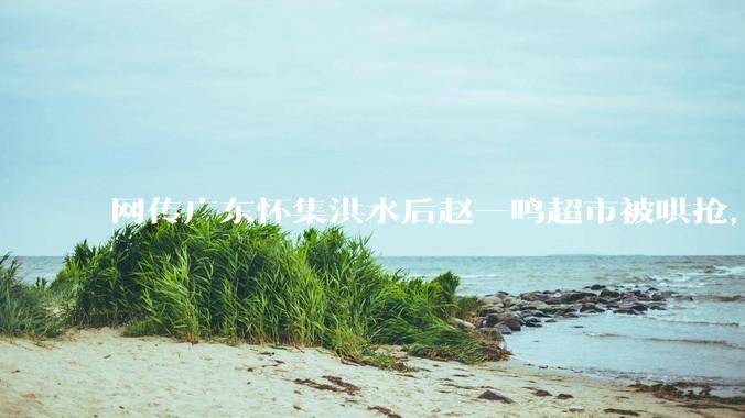网传广东怀集洪水后赵一鸣超市被哄抢，县***回应相关单位正在核实，若属实哄抢者该承担哪些法律责任？