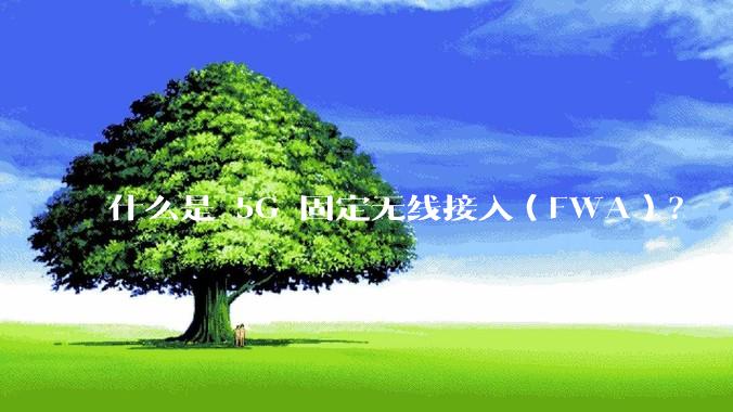 什么是 5G 固定无线接入（FWA）？
