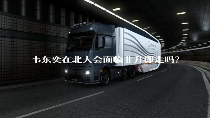 韦东奕在北大会面临非升即走吗？