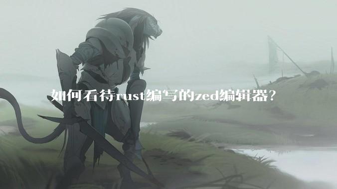 如何看待rust编写的zed编辑器？