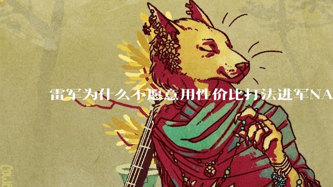 雷军为什么不愿意用性价比打法进军NAS？